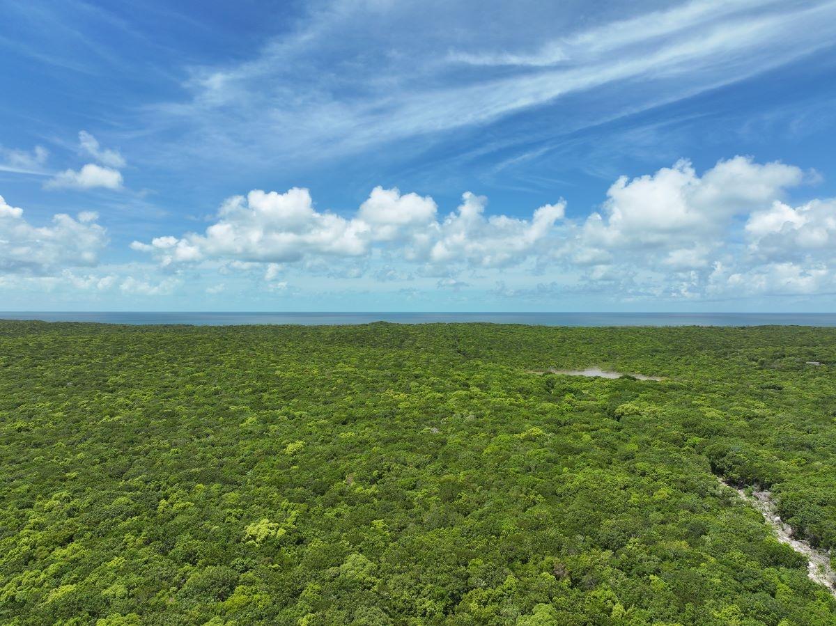 30 ACRES SAVANAH SOUND