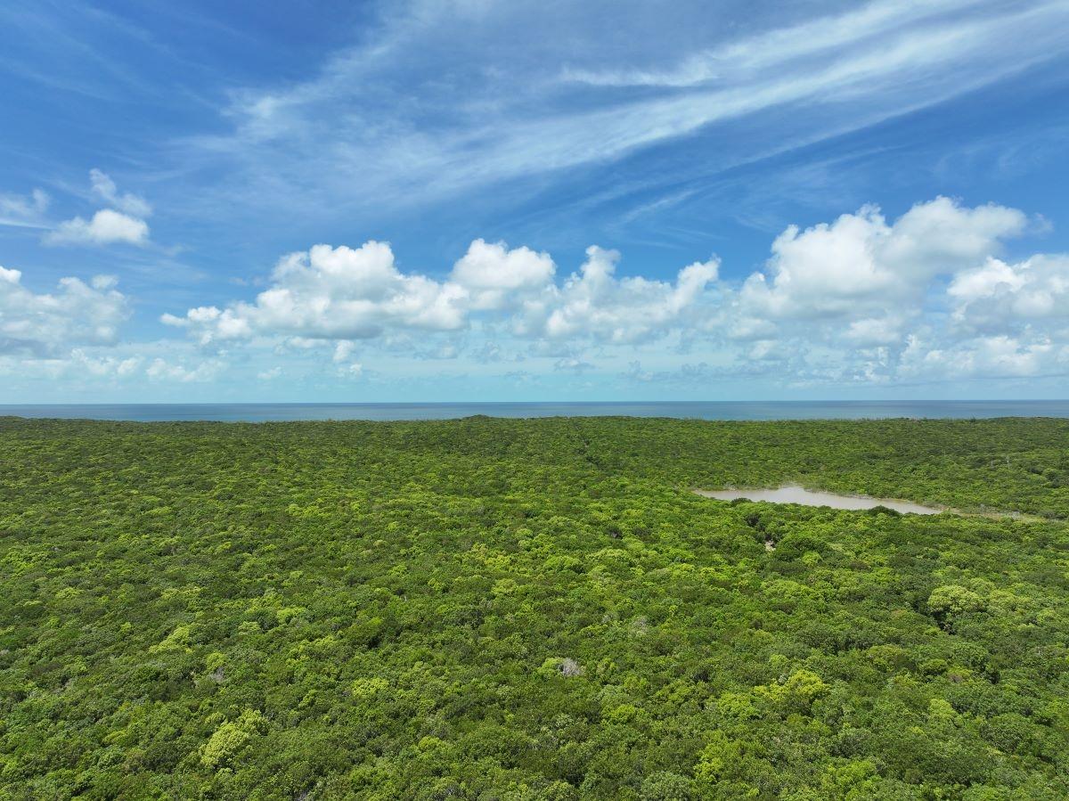 30 ACRES SAVANAH SOUND