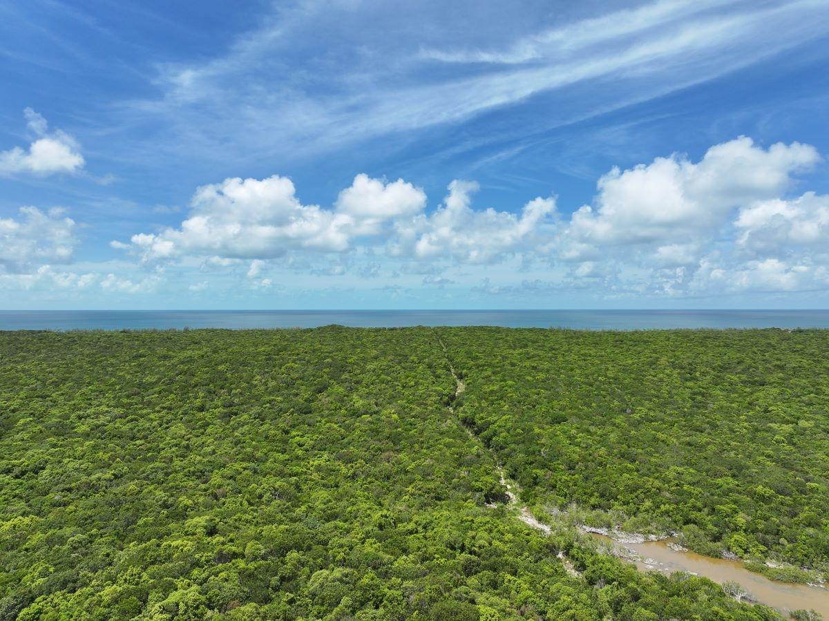 30 ACRES SAVANAH SOUND