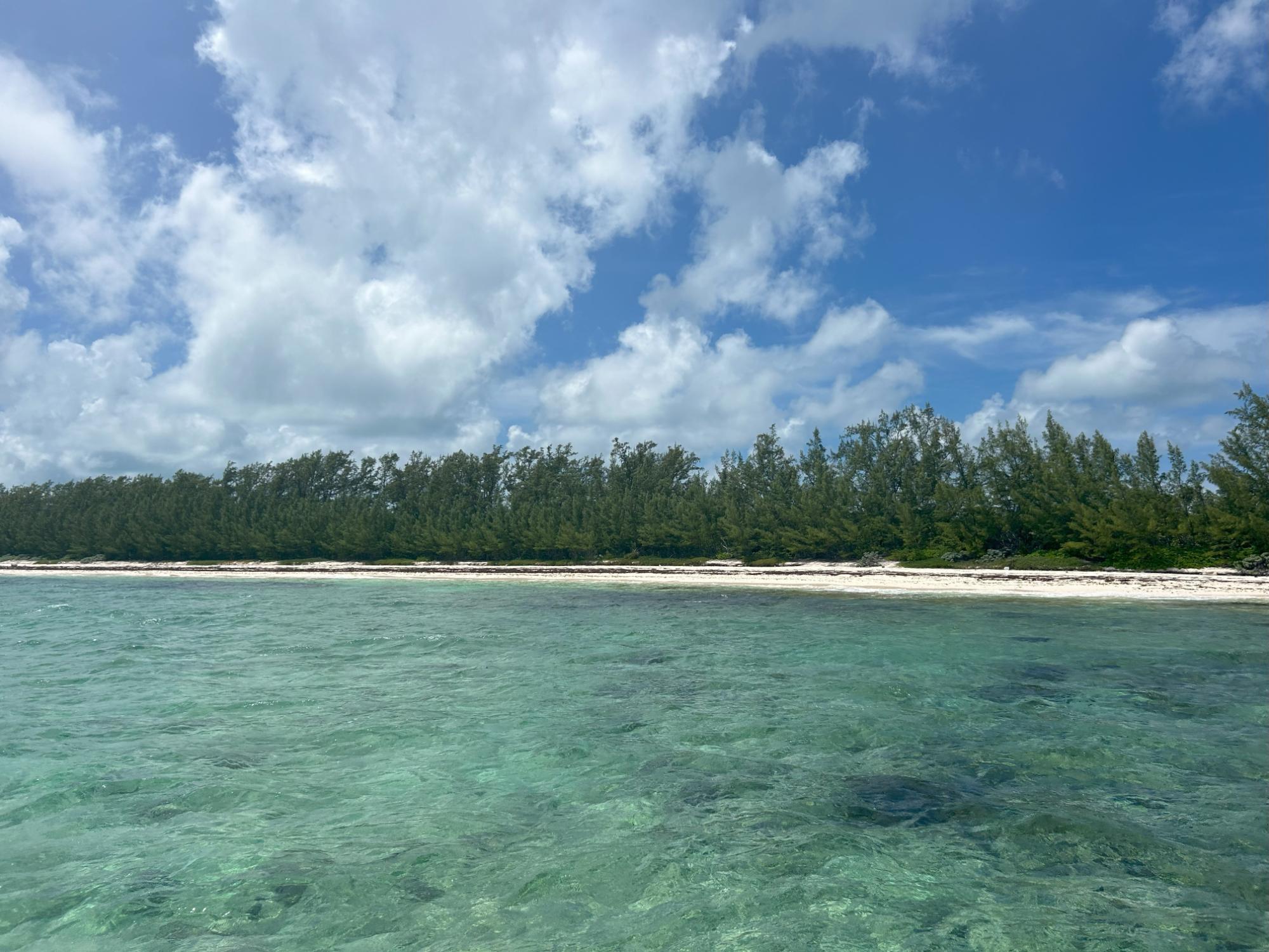 30 ACRES SAVANAH SOUND
