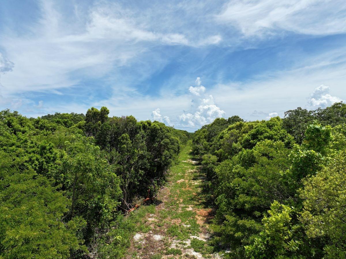 30 ACRES SAVANAH SOUND