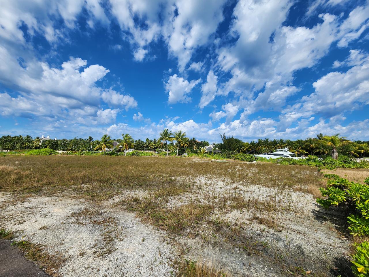 Estate Lot, Old Fort