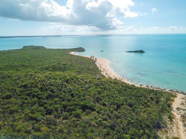 21 Acres Beachfront