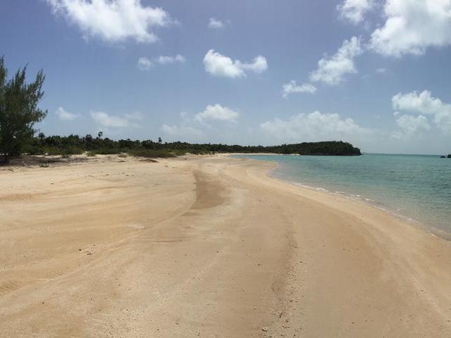 21 Acres Beachfront