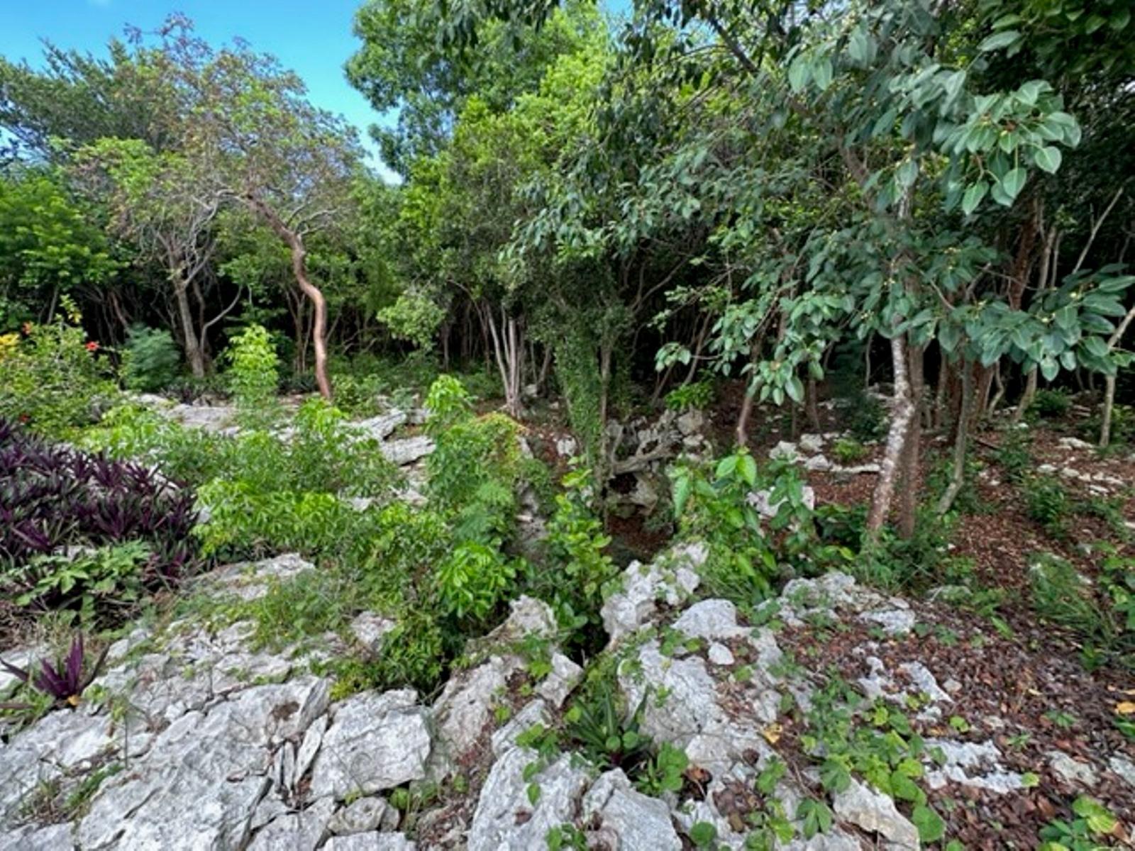 ELEUTHERA ISLAND SHORES