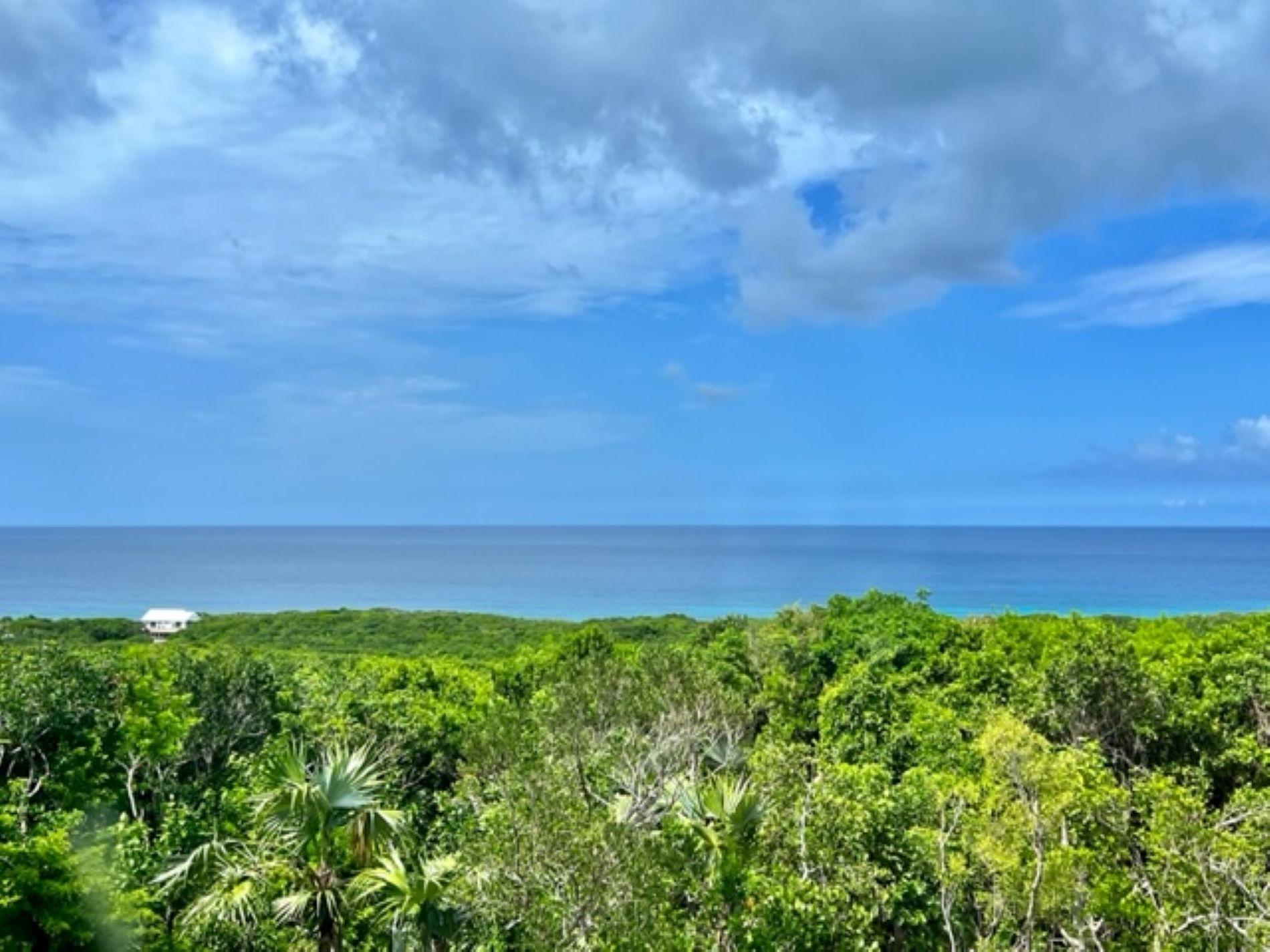 ELEUTHERA ISLAND SHORES