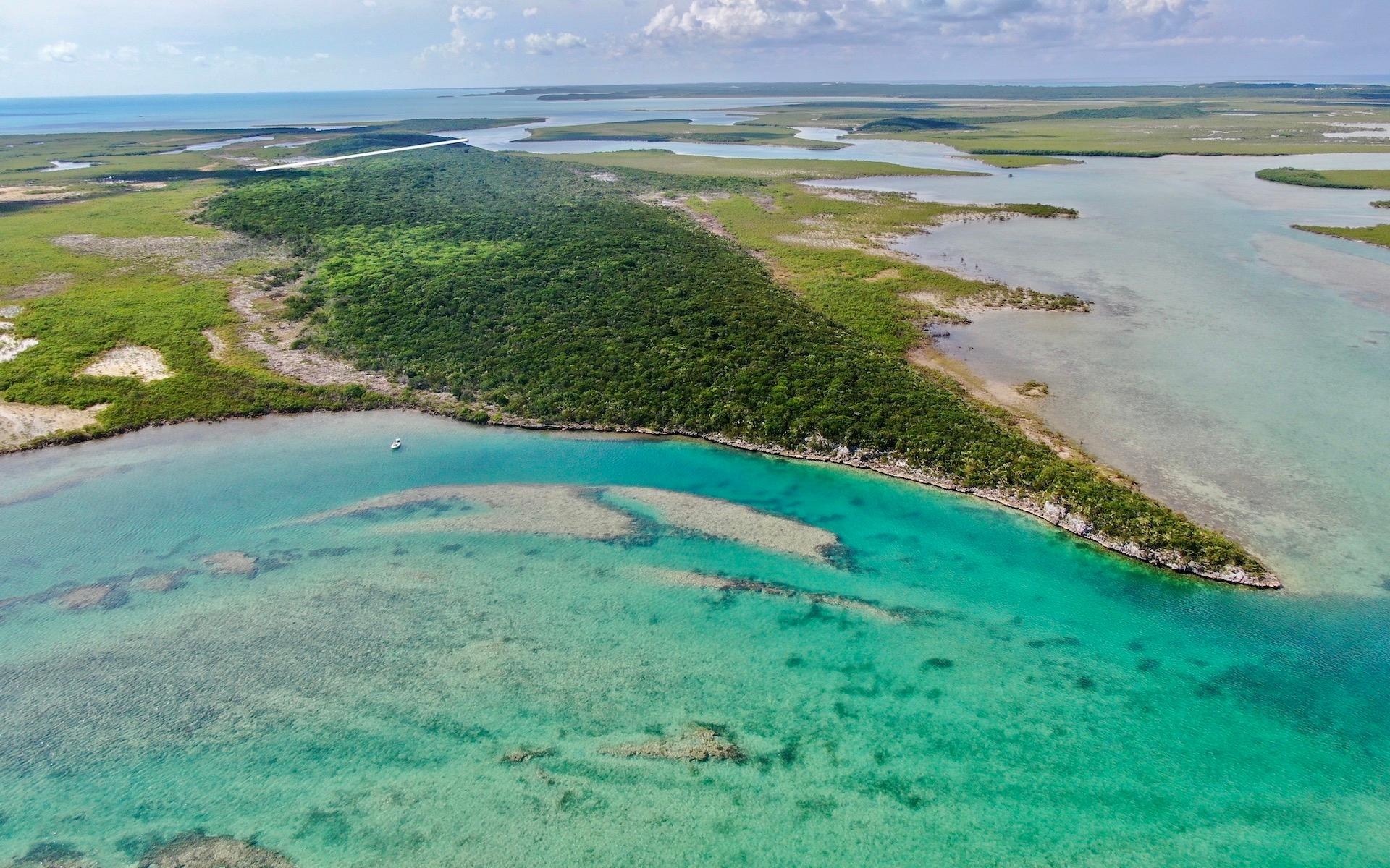 BIG BULLARD CAY