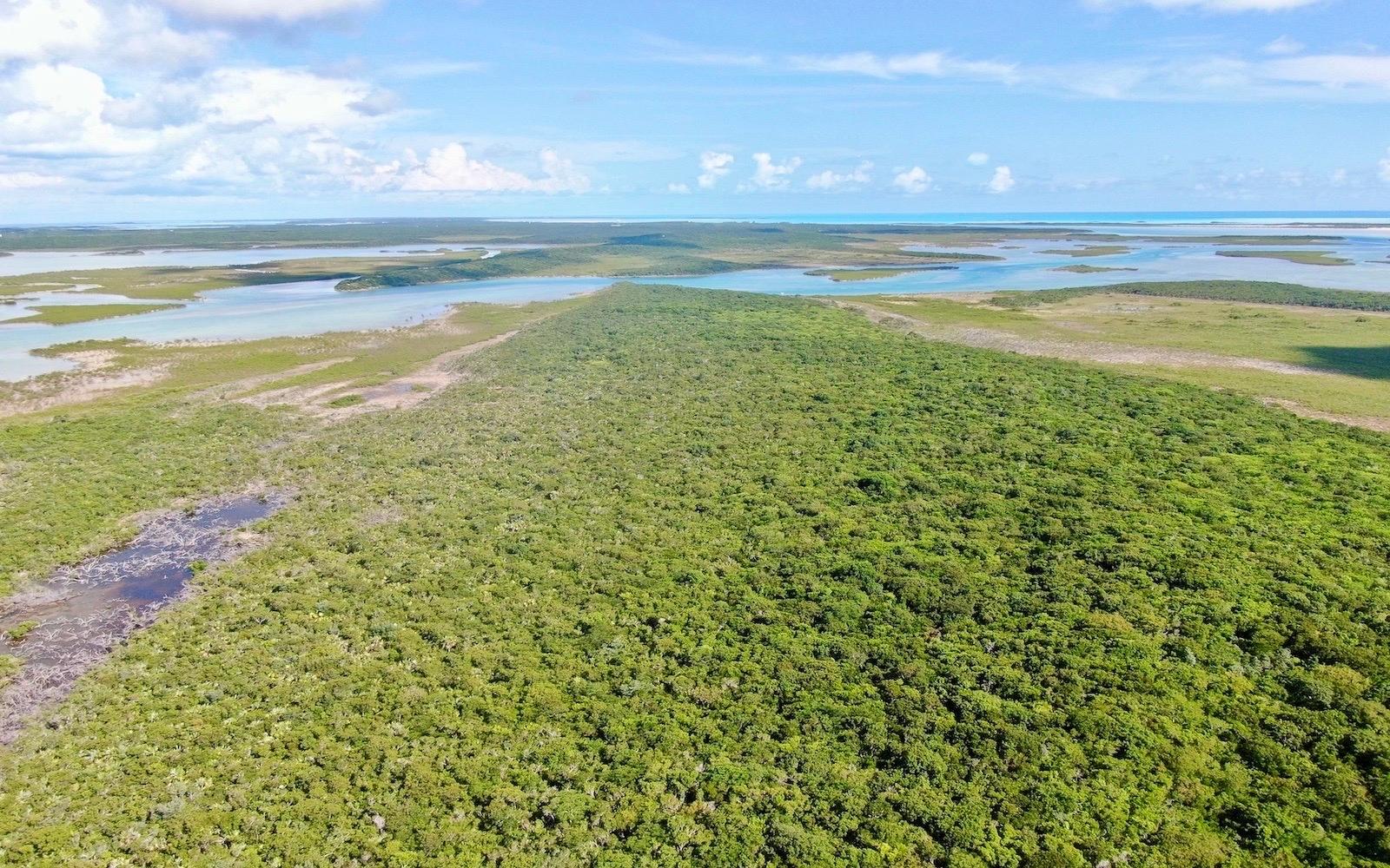 BIG BULLARD CAY