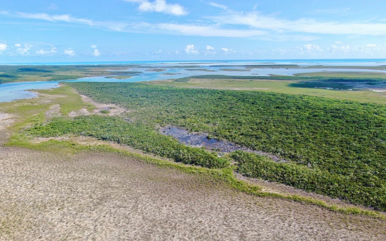 BIG BULLARD CAY