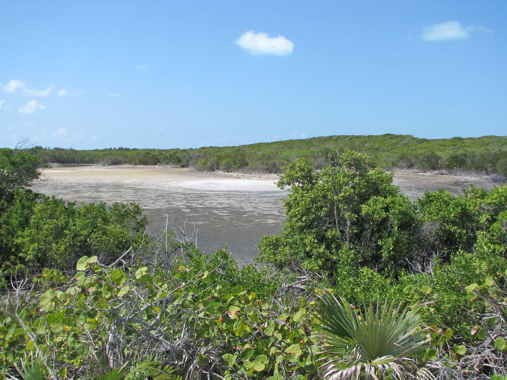 243 Acres Exuma