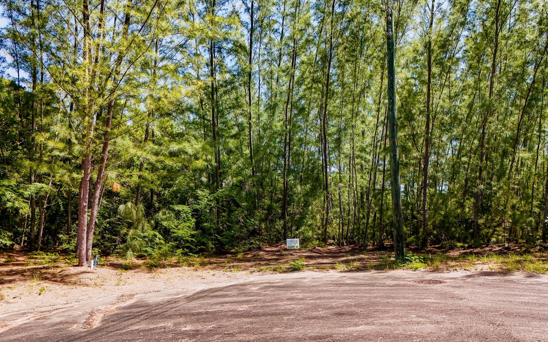 LOT 4, FAIRWAY CLOSE
