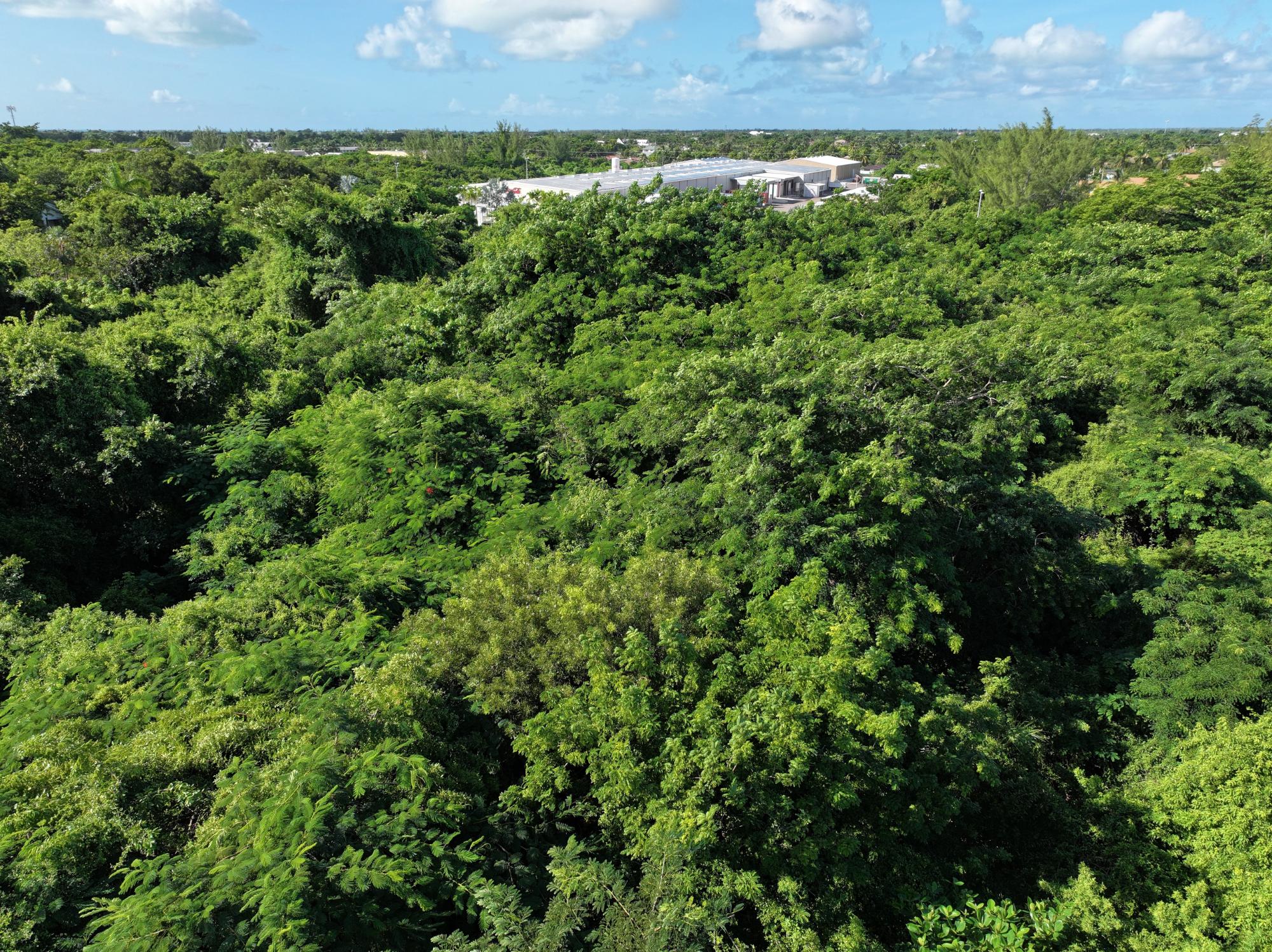 1.5 ACRES, FAITH AVENUE NORTH