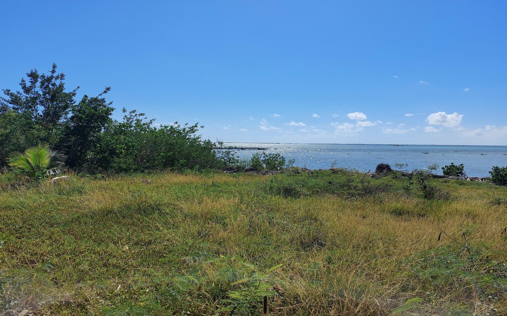 MANGROVE BUSH LOT