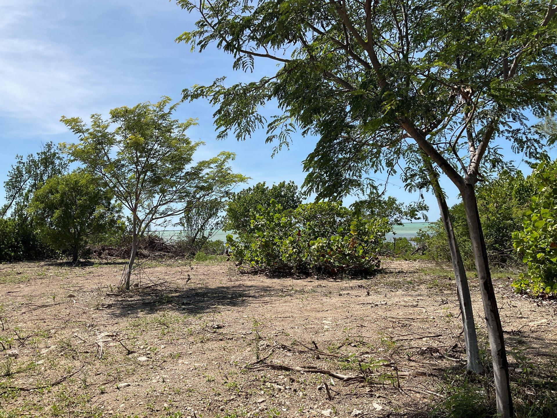 MANGROVE BUSH LOT