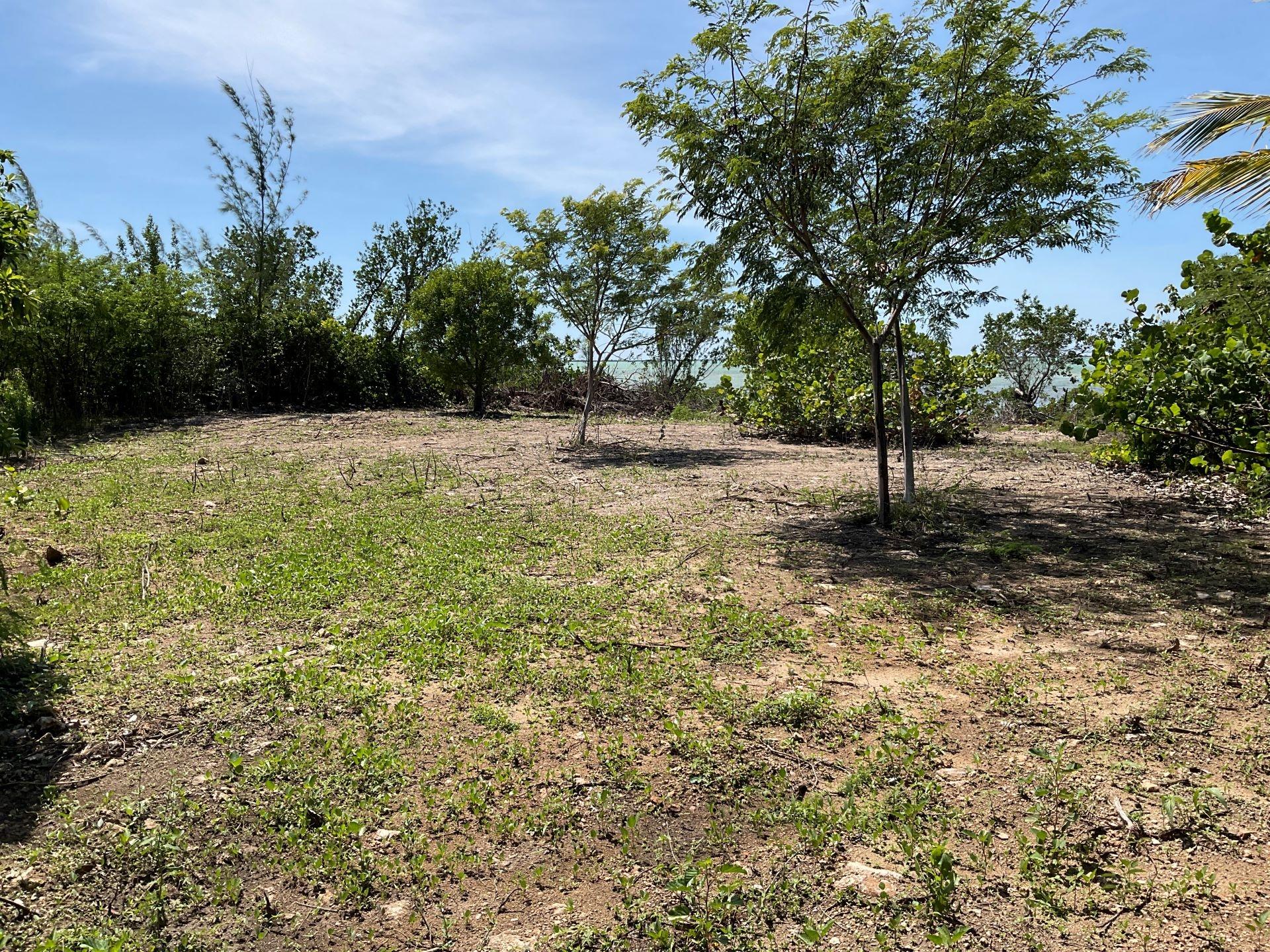 MANGROVE BUSH LOT