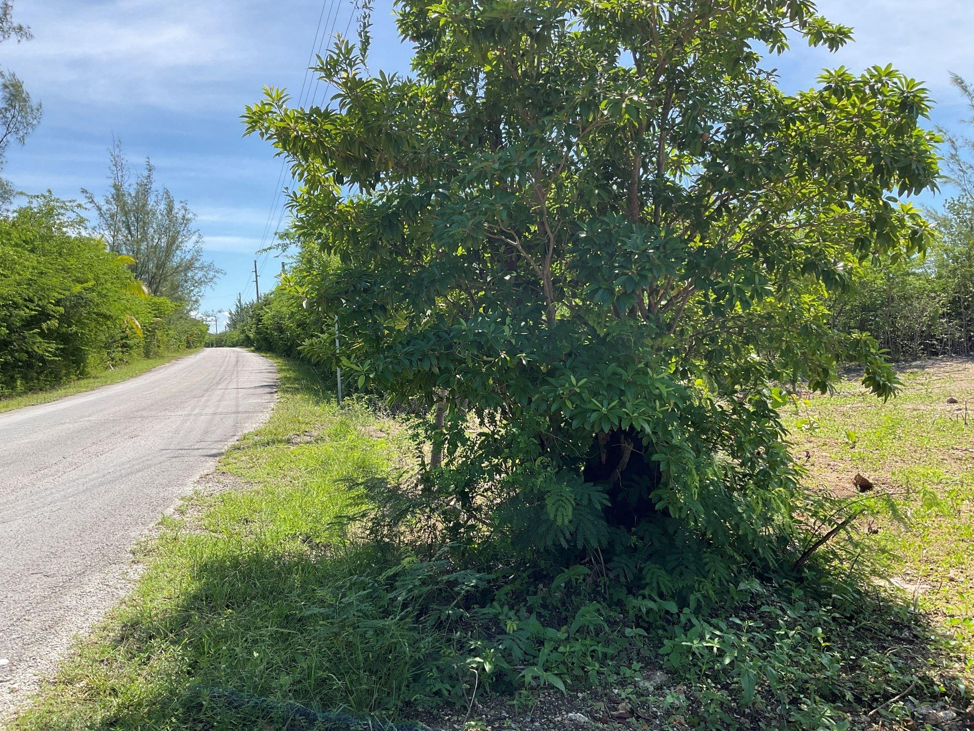 MANGROVE BUSH LOT