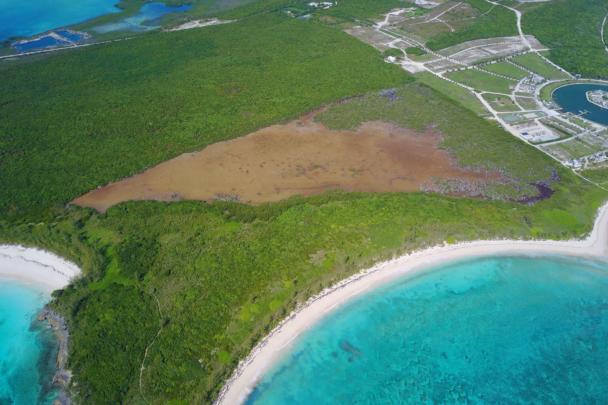 278 ACRES SOUTH SCHOONER