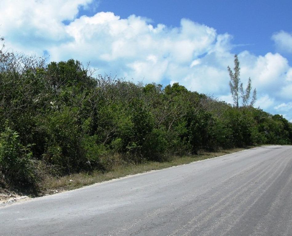 ELEUTHERA ISLAND SHORES