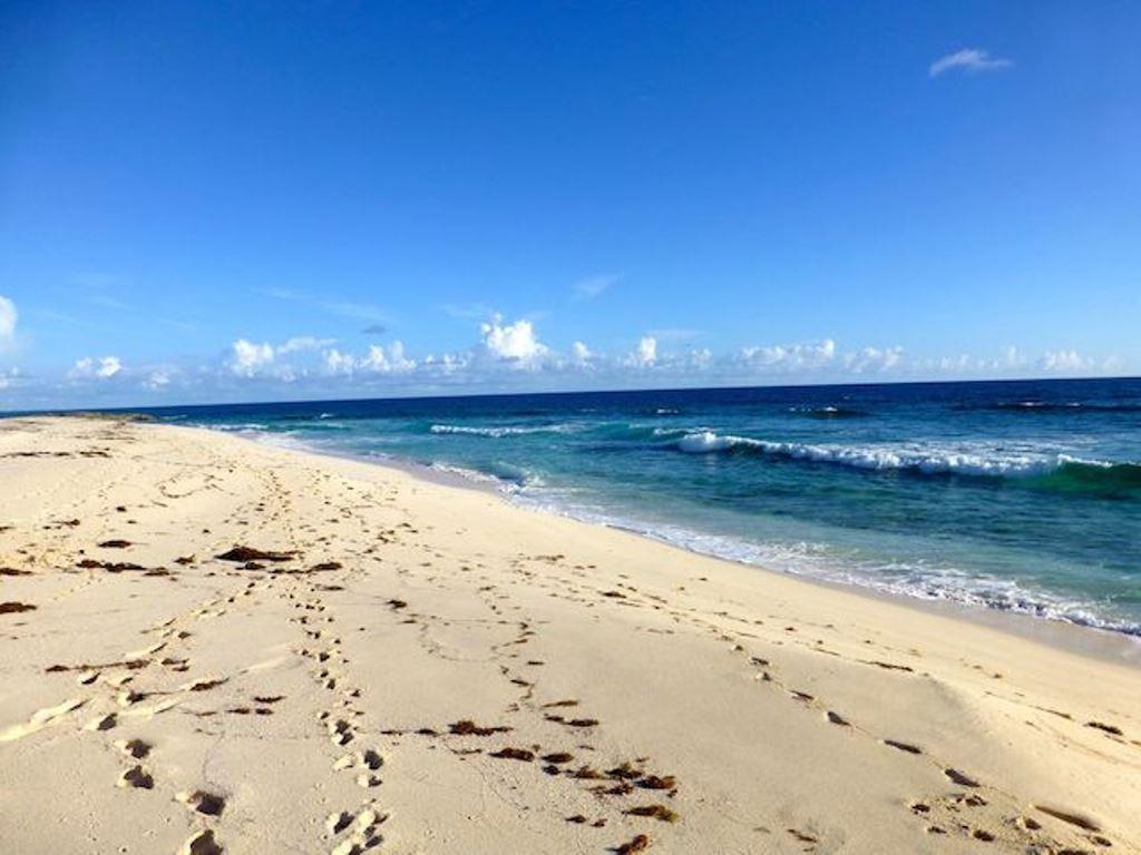 ELEUTHERA ISLAND SHORES