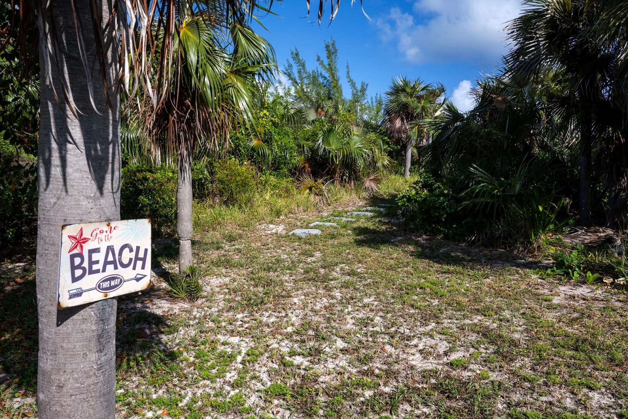 NORTH PALMETTO POINT