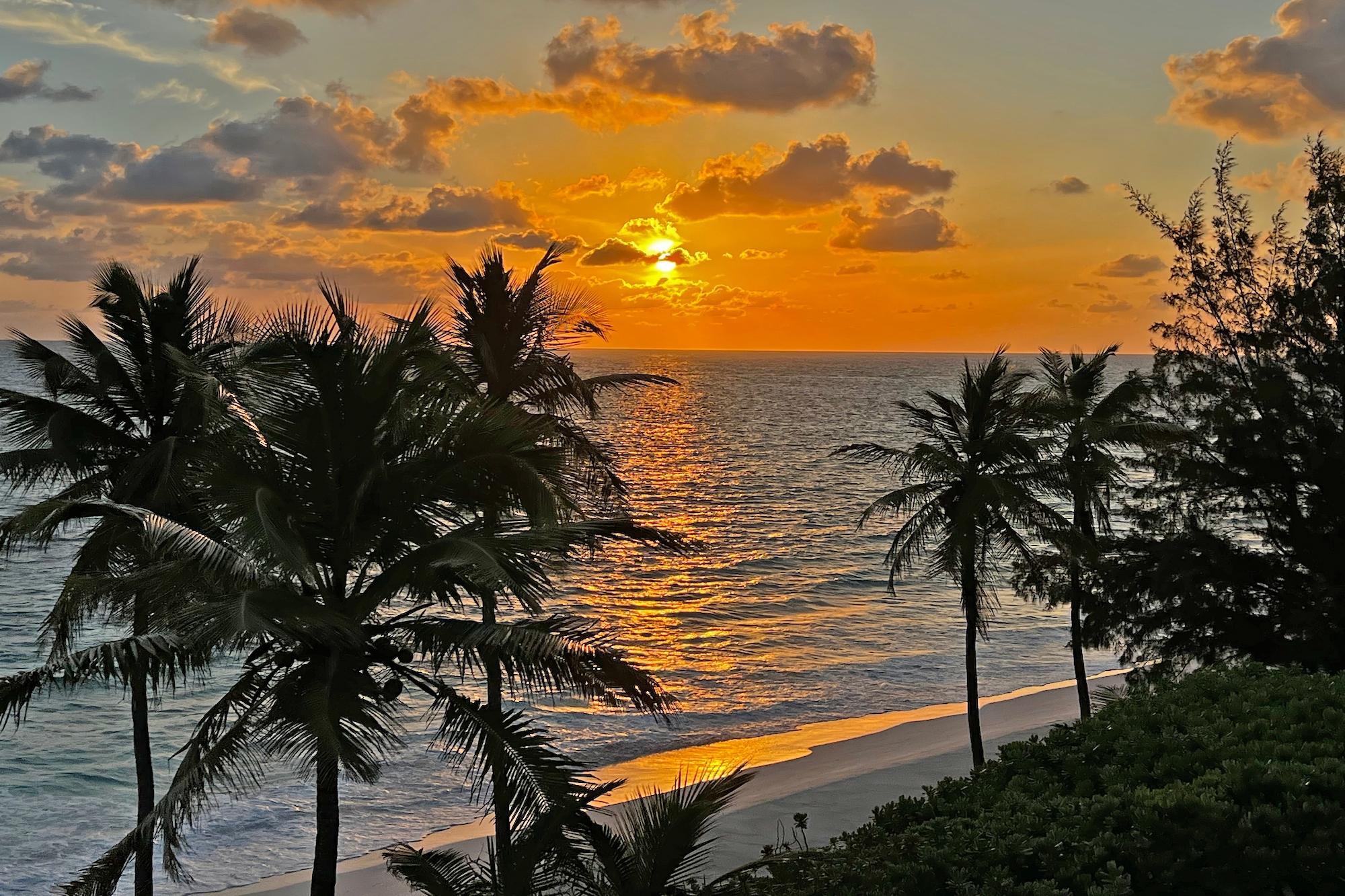 NORTH PALMETTO POINT