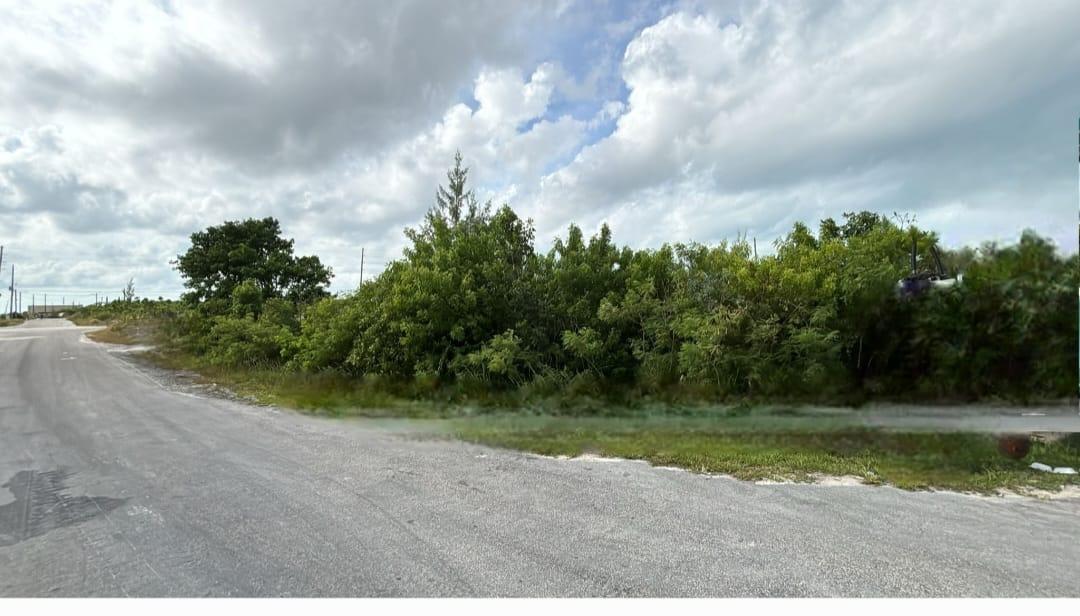 ABACO CENTRAL PINES LOT