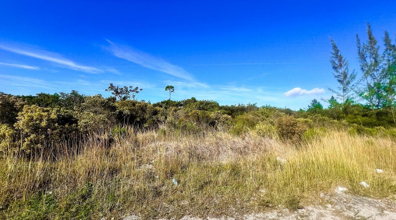 LOT A SOUTH OCEAN ACREAGE