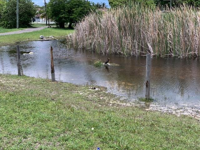 PINEWOODOOD GARDENS LOT