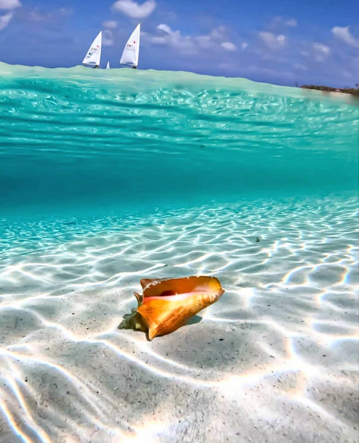 RUM CAY LAND
