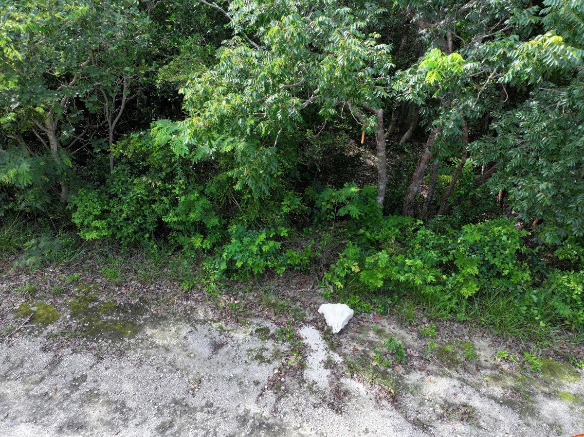 LOT 10 BLOCK 33, RAINBOW BAY, ELEUTHERA