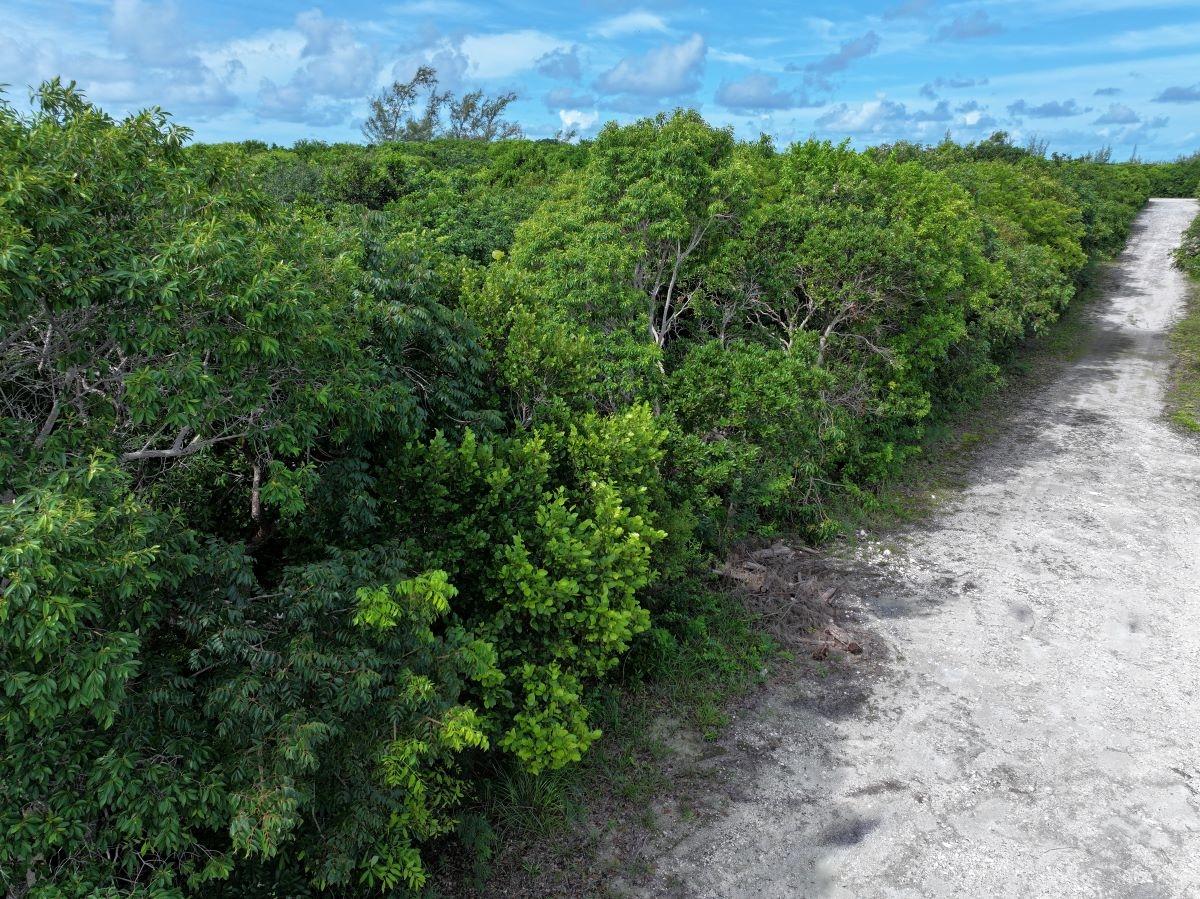 LOT 10 BLOCK 33, RAINBOW BAY, ELEUTHERA