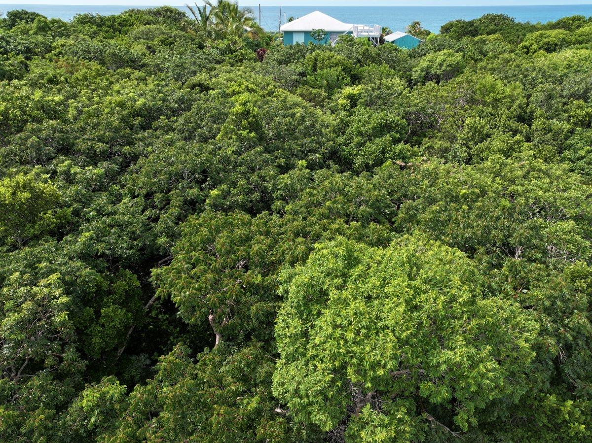 LOT 10 BLOCK 33, RAINBOW BAY, ELEUTHERA