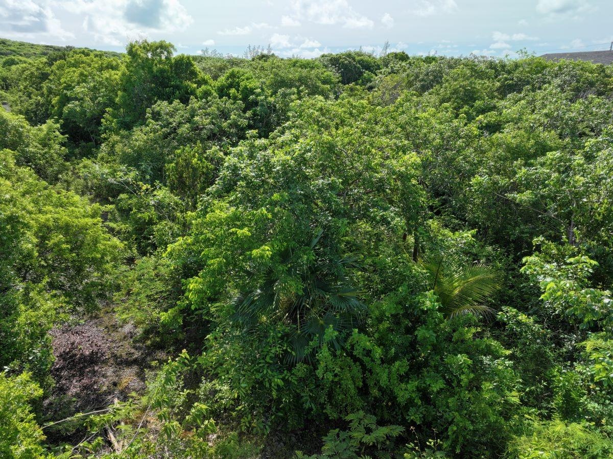 LOT 10 BLOCK 33, RAINBOW BAY, ELEUTHERA