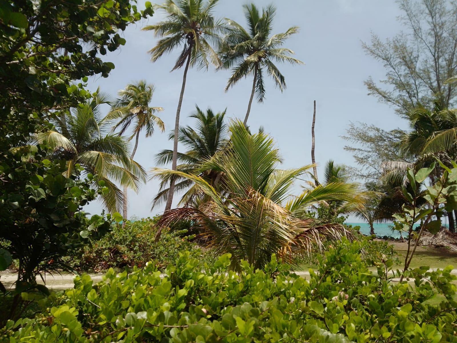 SOUTH ANDROS BEACH