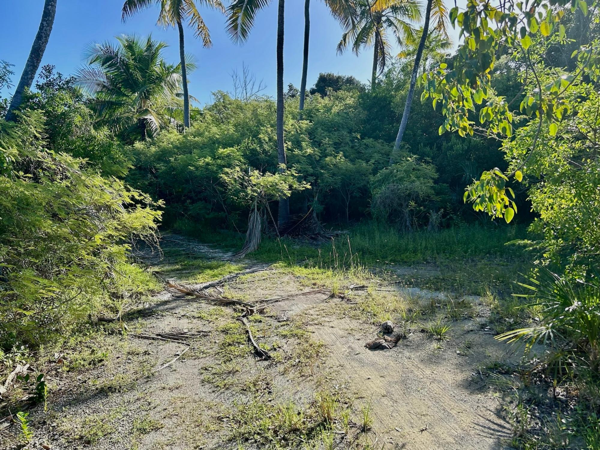 Exuma Acreage