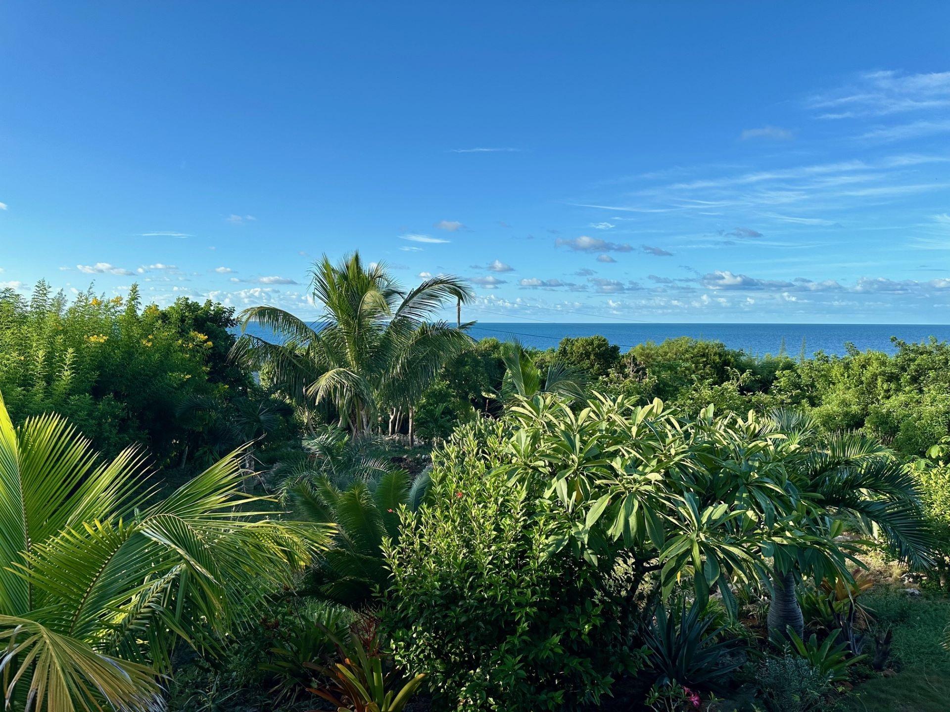 OCEAN VIEW HOME