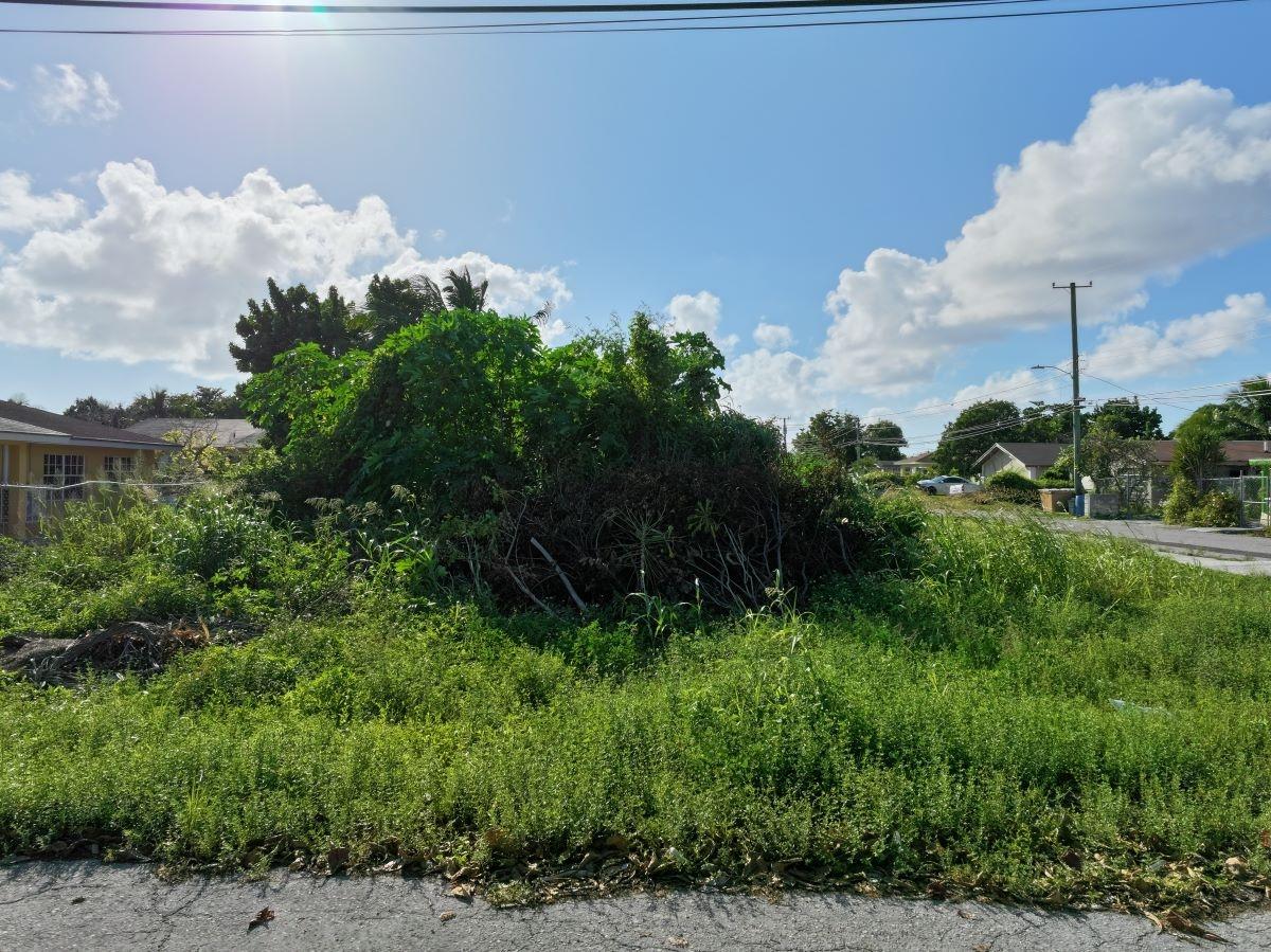 LOT OFF PRINCE CHARLES DR