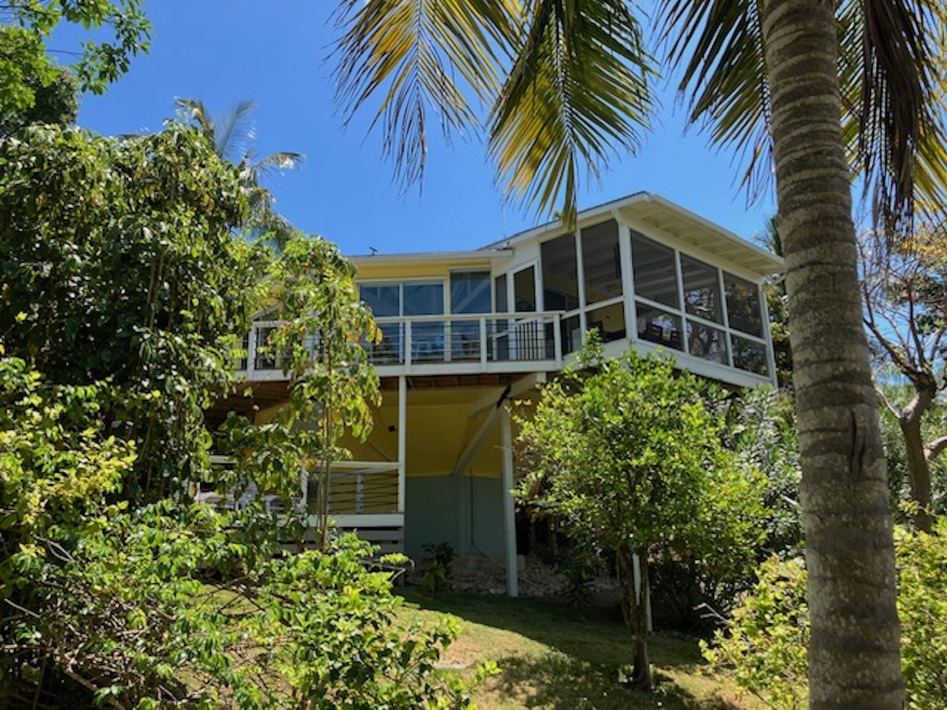 HUMMINGBIRD TREE HOUSE