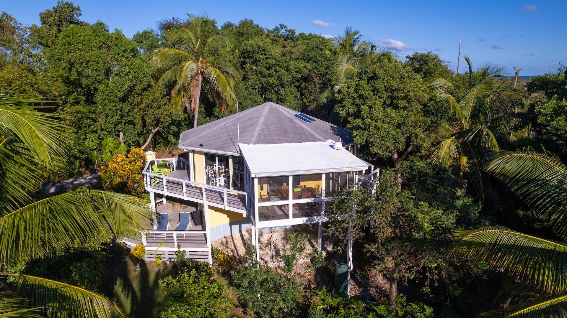 HUMMINGBIRD TREE HOUSE