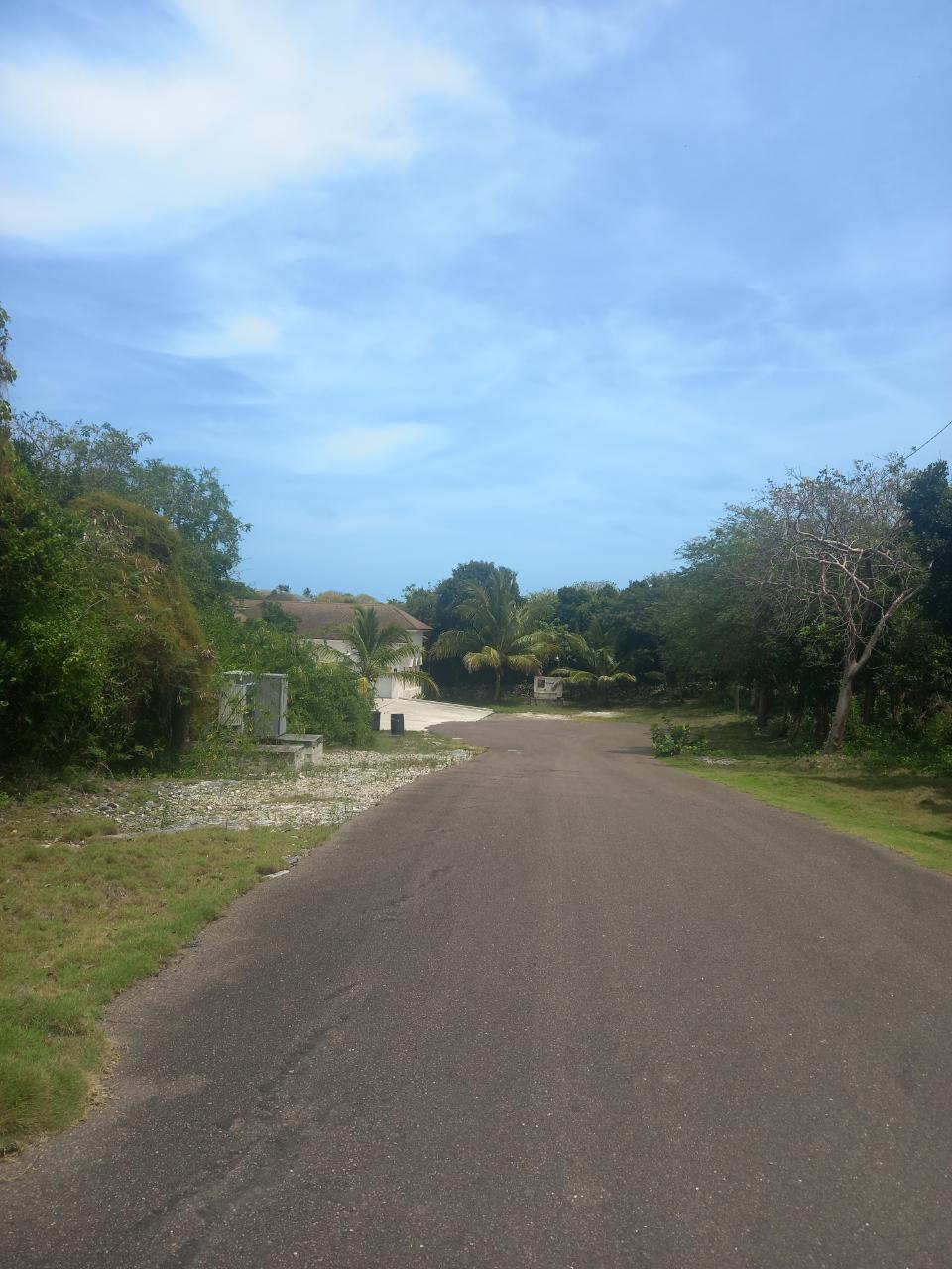 WEST OF BUTTONWOOD HILL