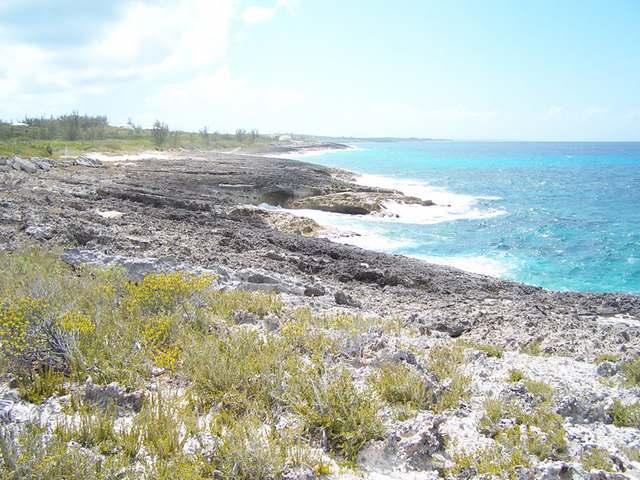 Oceanfront Lot