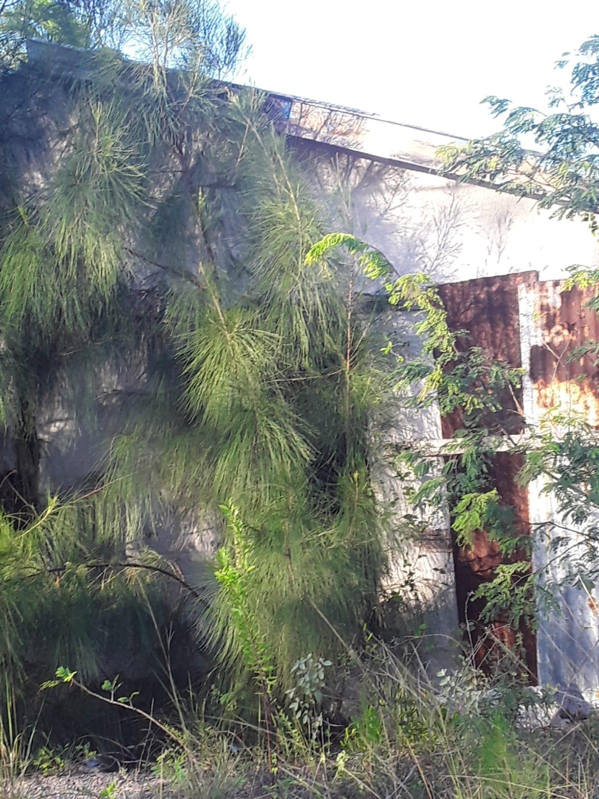 BUNCHES, SIMMS SETTLEMENT