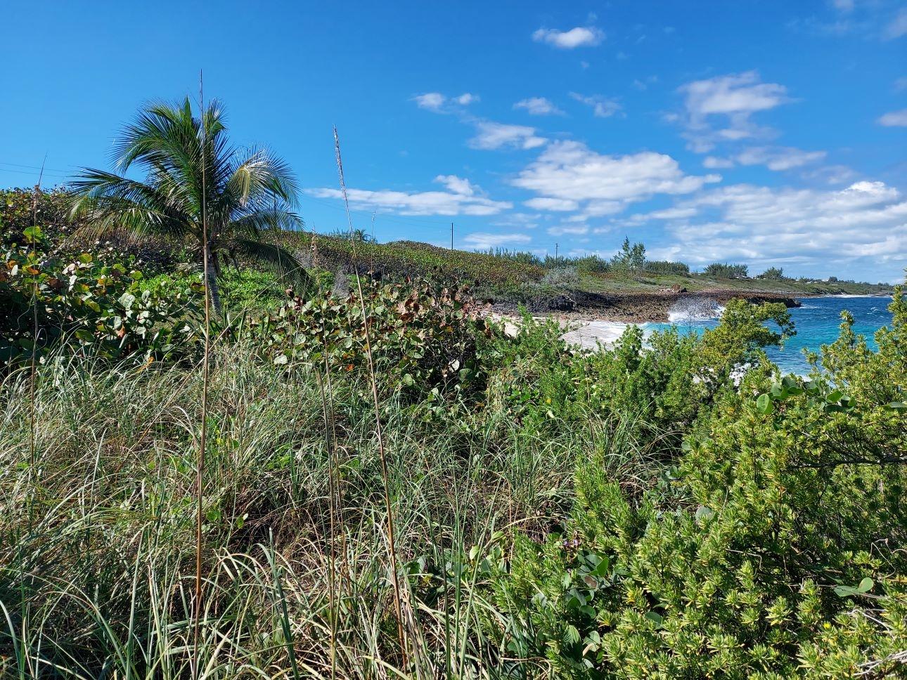 HIDDEN BEACH RAINBOW BAY