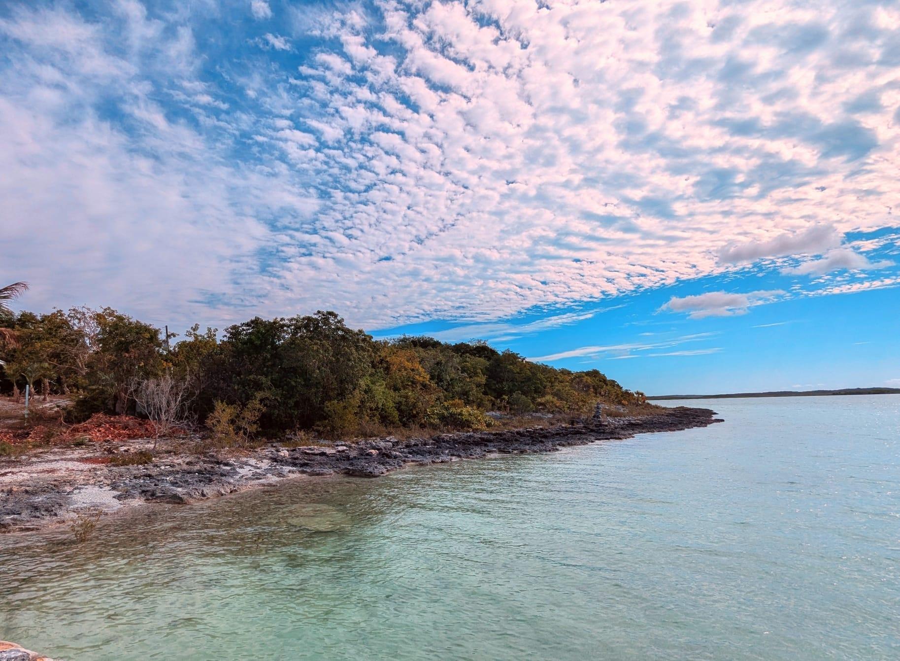 THE CAYS