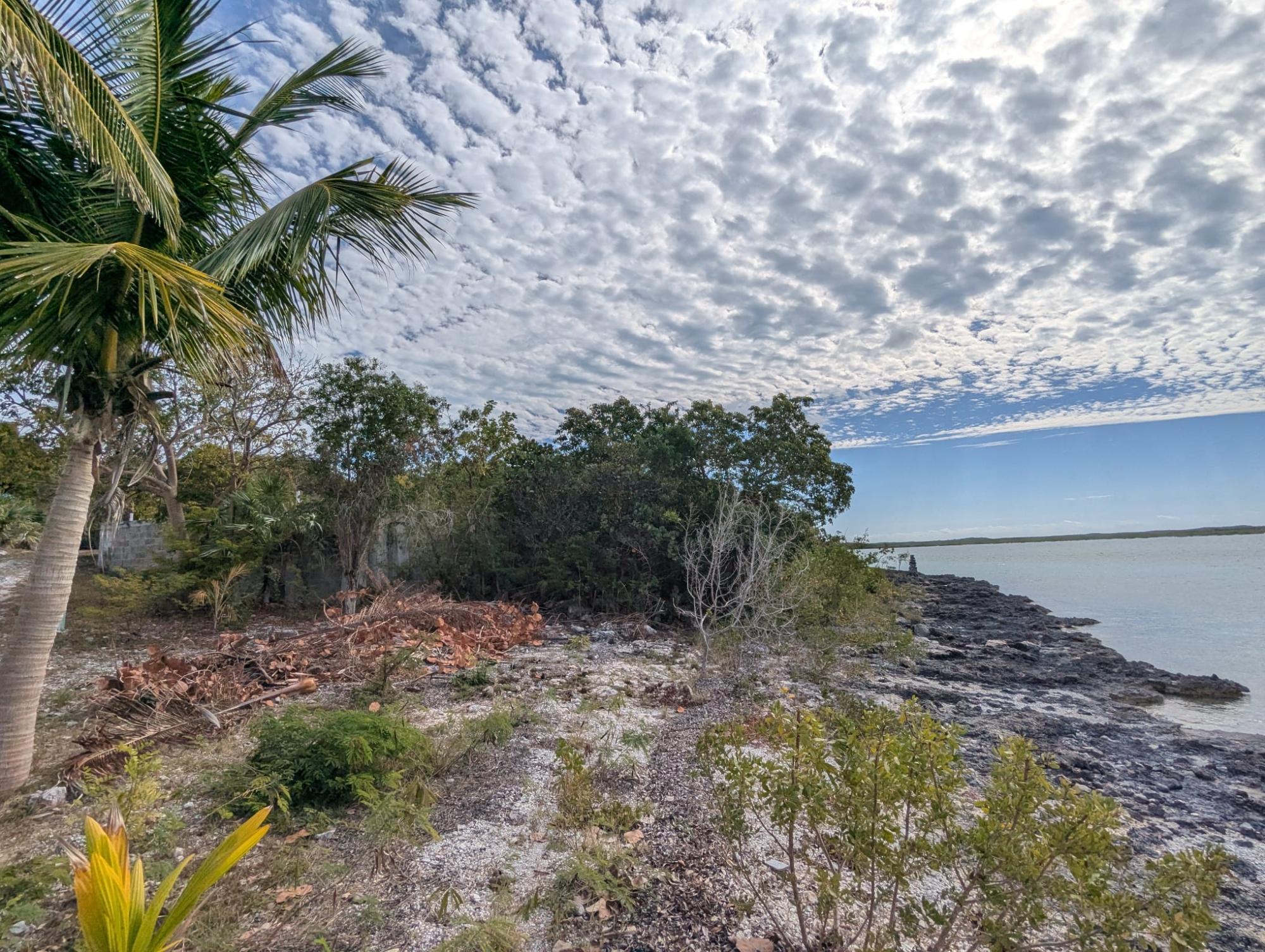THE CAYS
