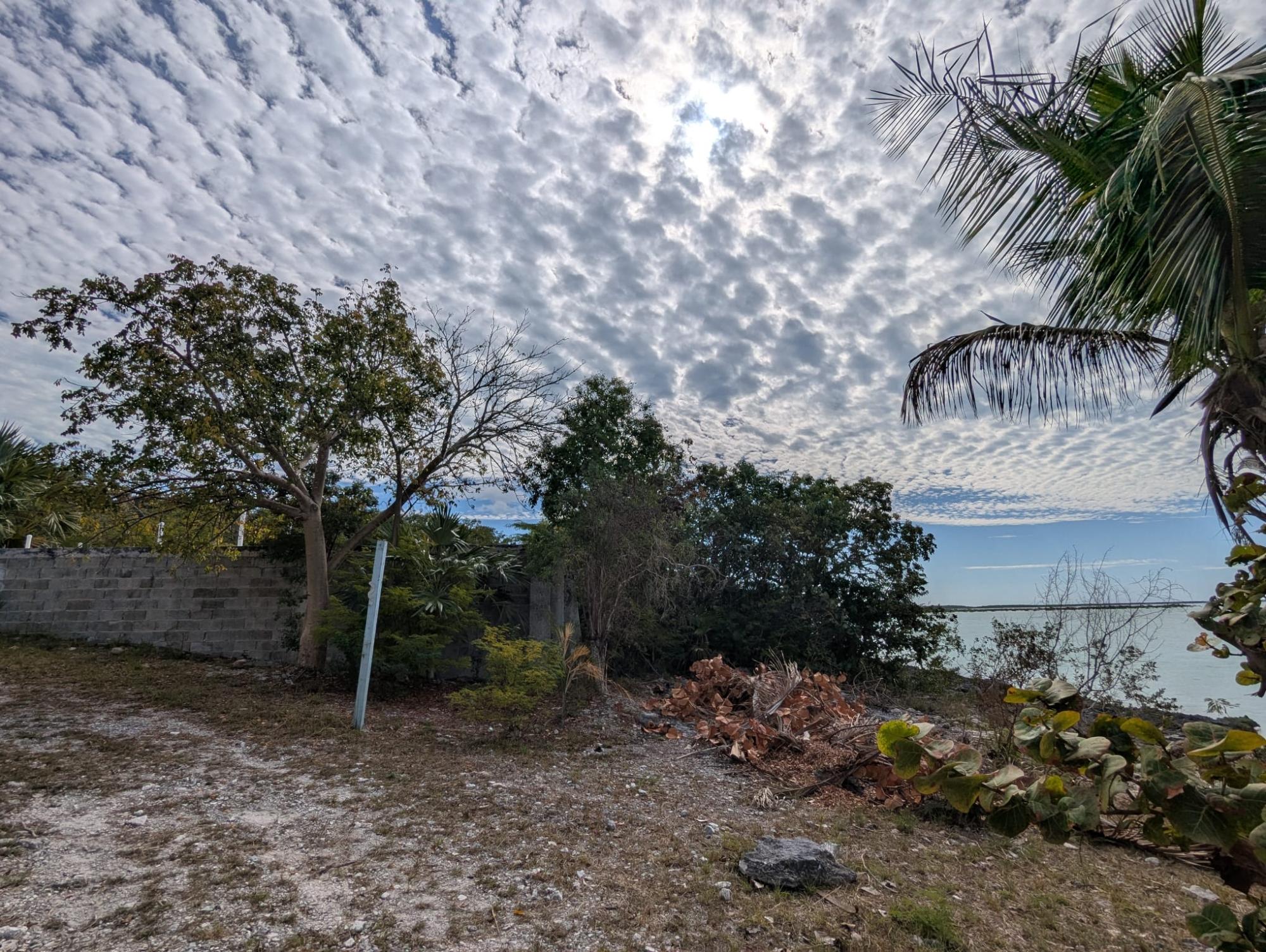 THE CAYS