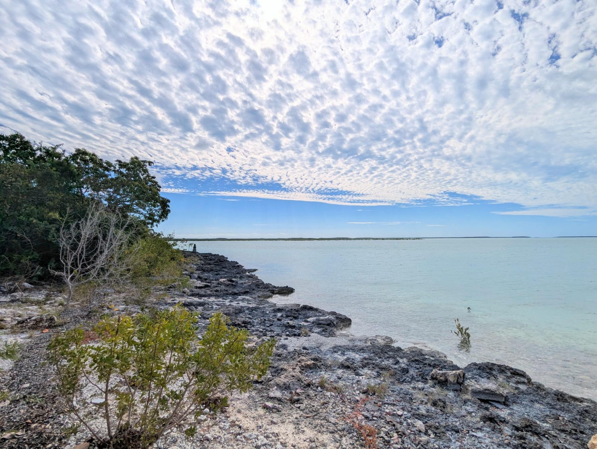 THE CAYS