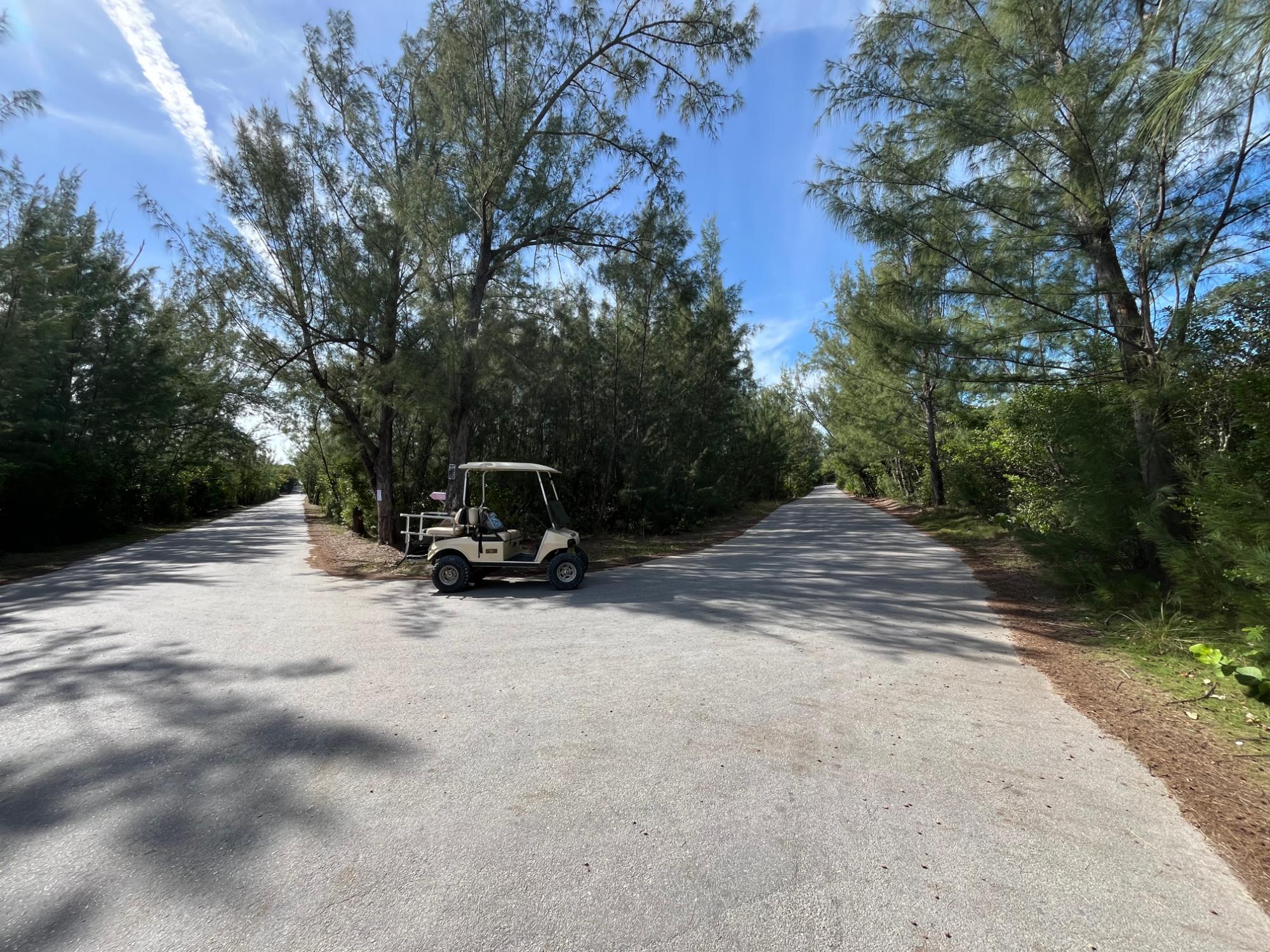 GREEN TURTLE CAY