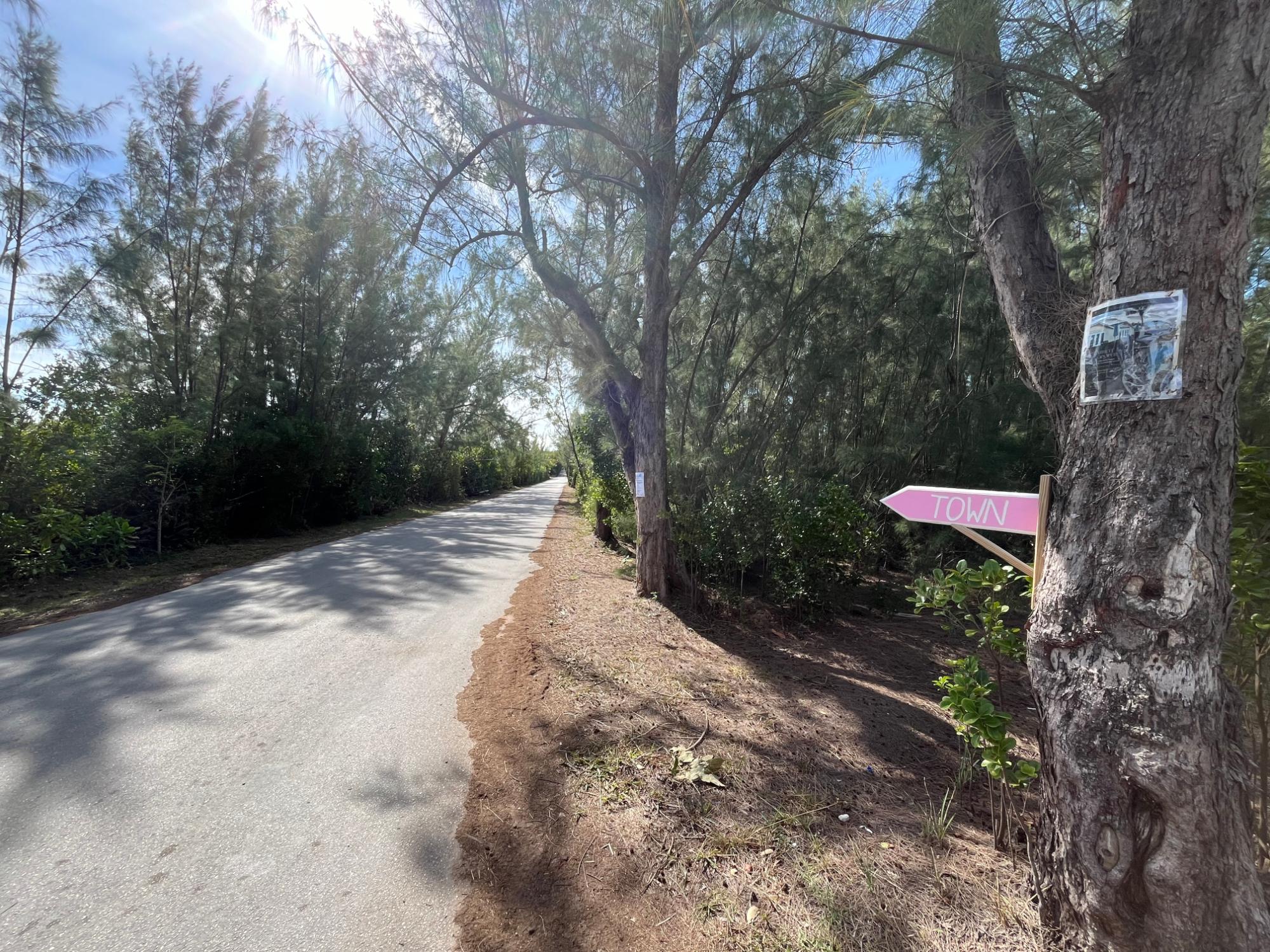 GREEN TURTLE CAY