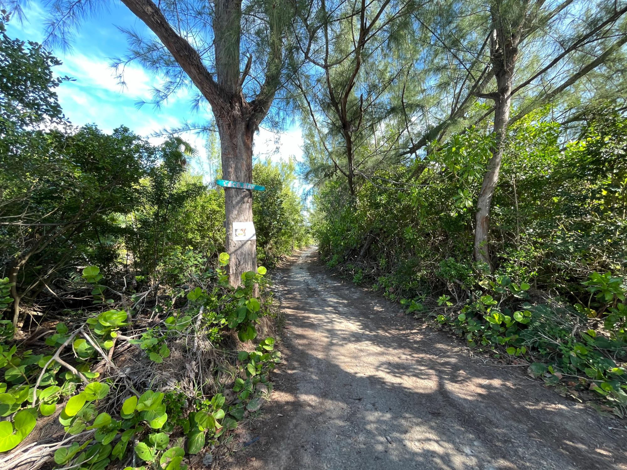 GREEN TURTLE CAY